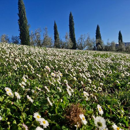 Agriturismo Val Della Pieve Anghiari Zewnętrze zdjęcie