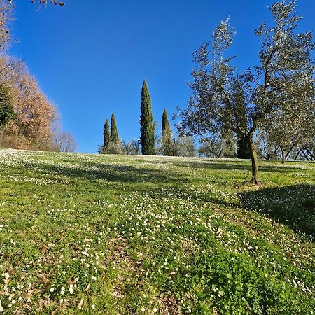 Agriturismo Val Della Pieve Anghiari Zewnętrze zdjęcie