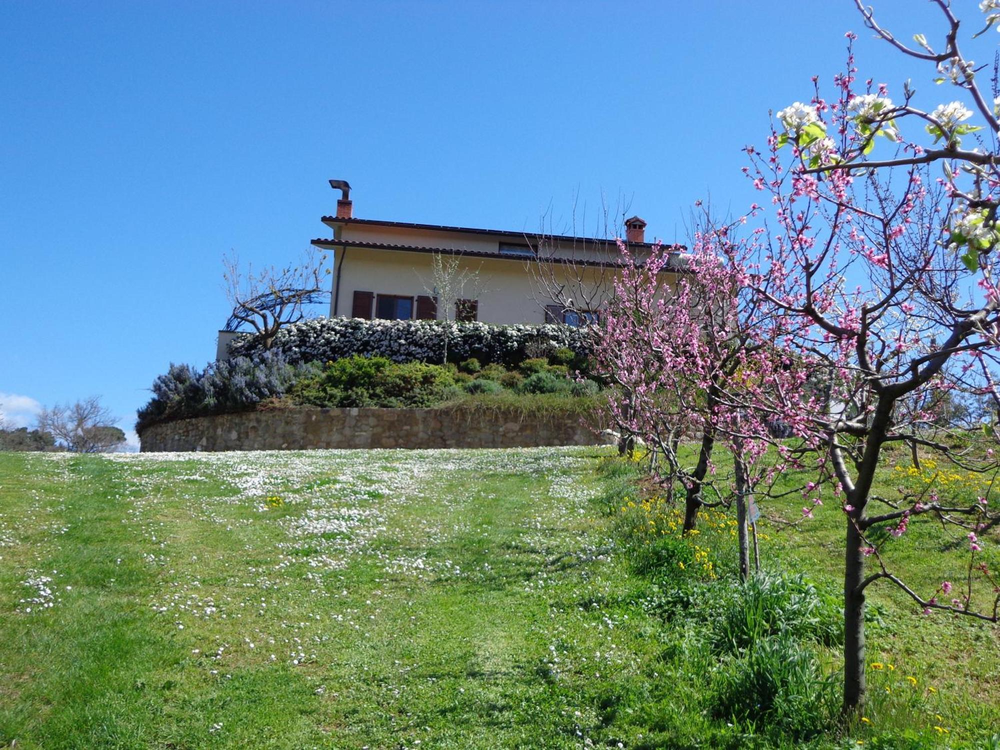 Agriturismo Val Della Pieve Anghiari Zewnętrze zdjęcie