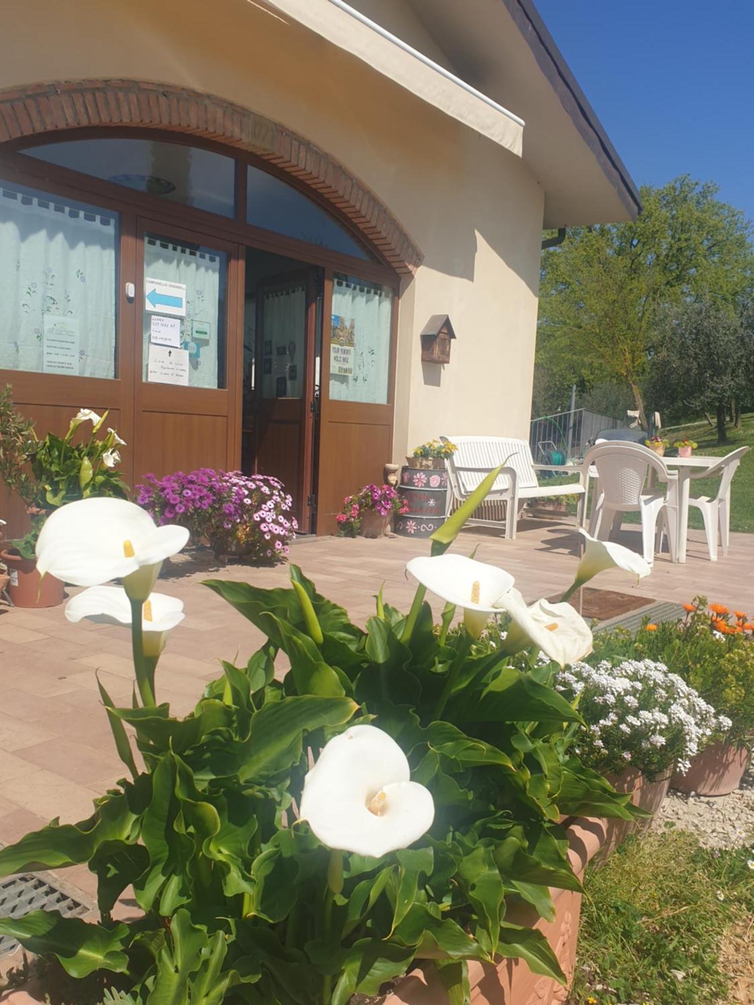 Agriturismo Val Della Pieve Anghiari Zewnętrze zdjęcie