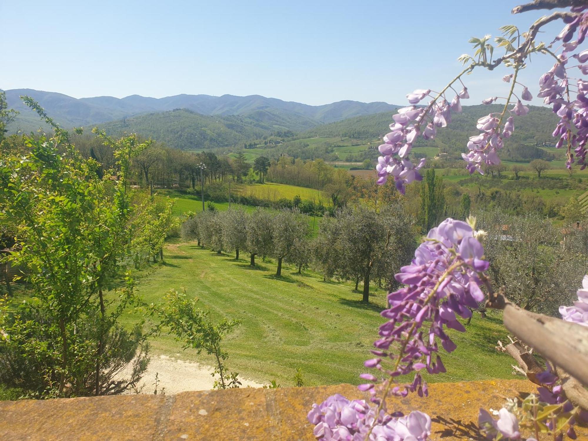 Agriturismo Val Della Pieve Anghiari Zewnętrze zdjęcie