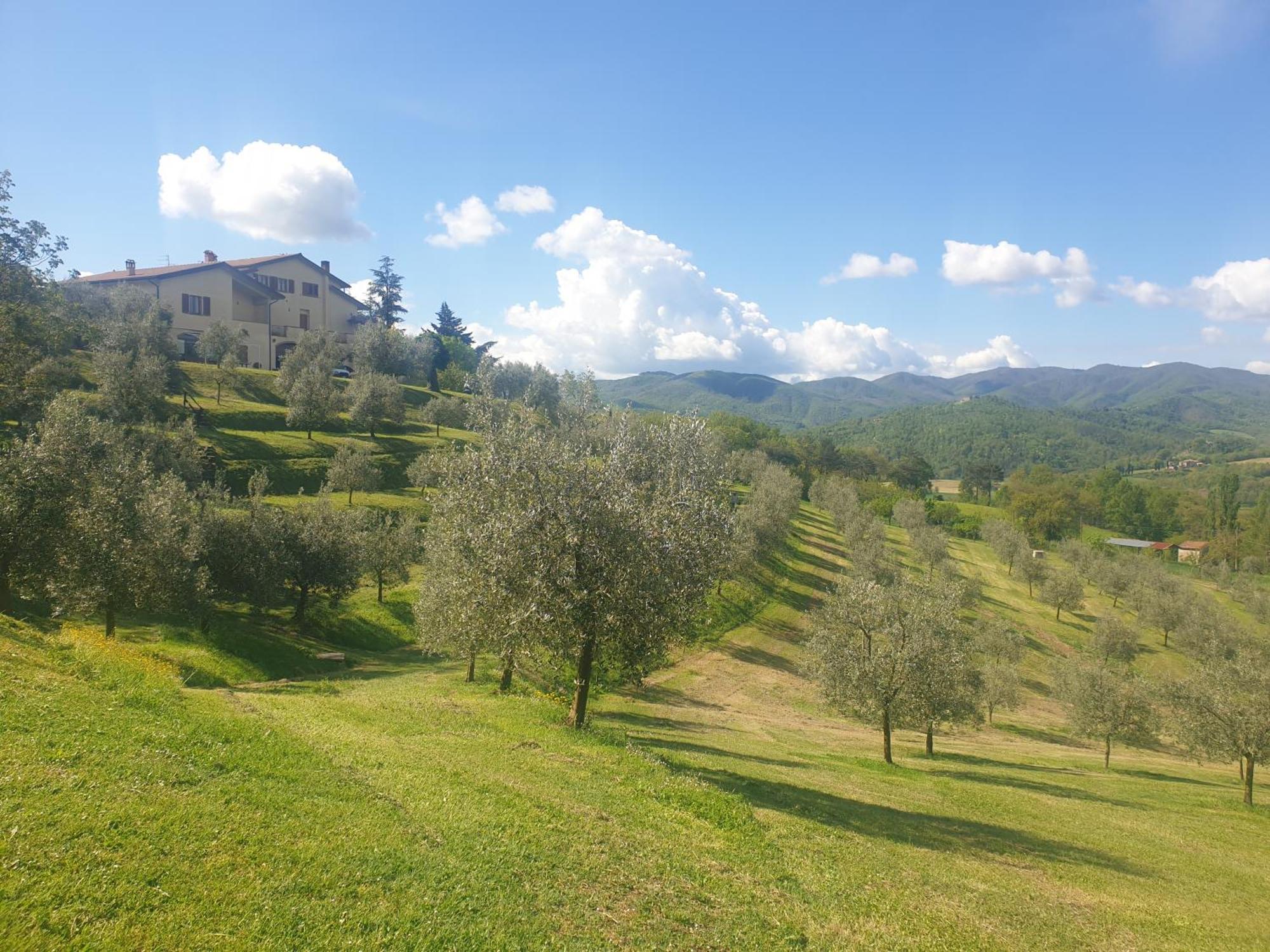 Agriturismo Val Della Pieve Anghiari Zewnętrze zdjęcie