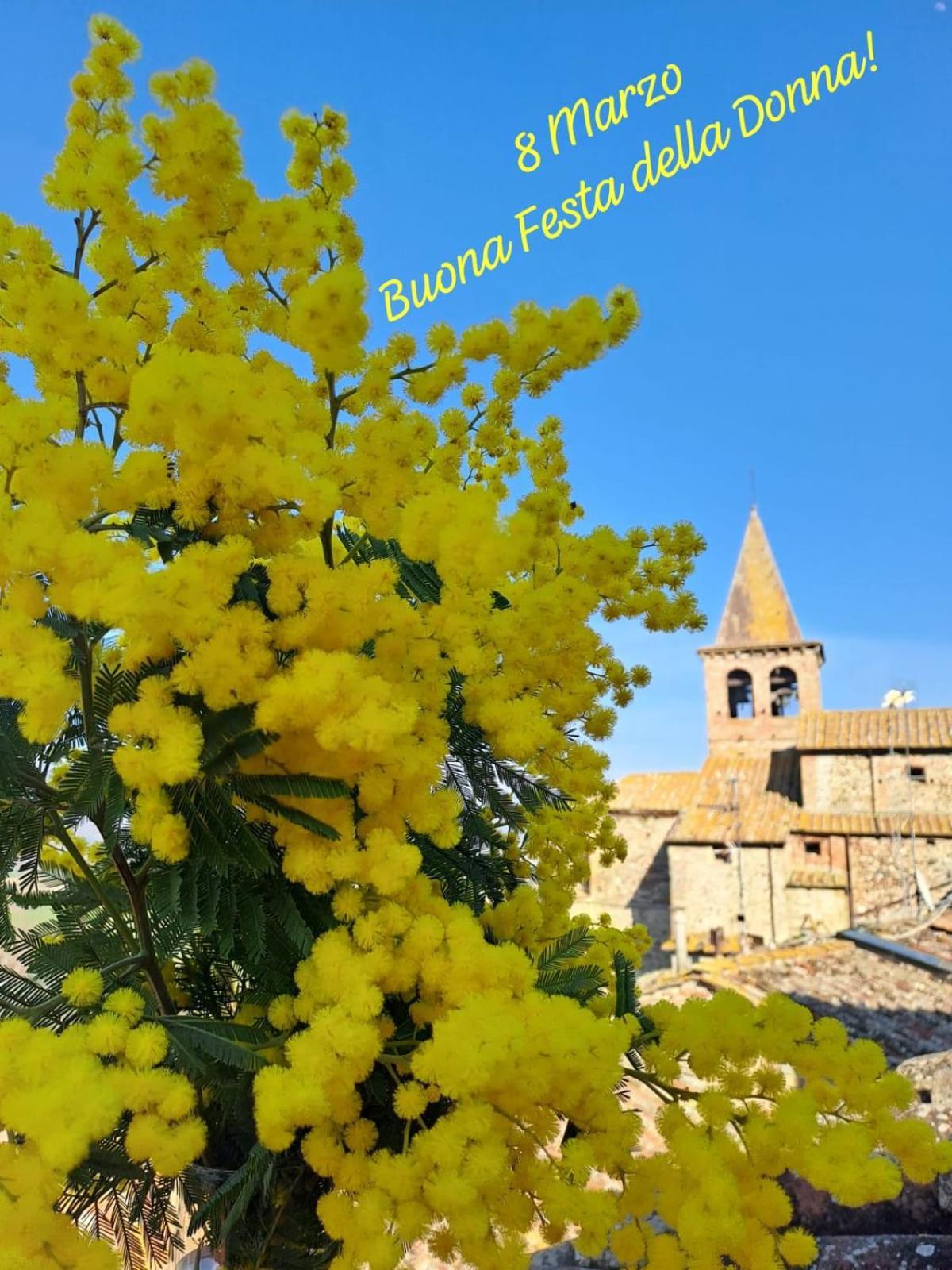 Agriturismo Val Della Pieve Anghiari Zewnętrze zdjęcie