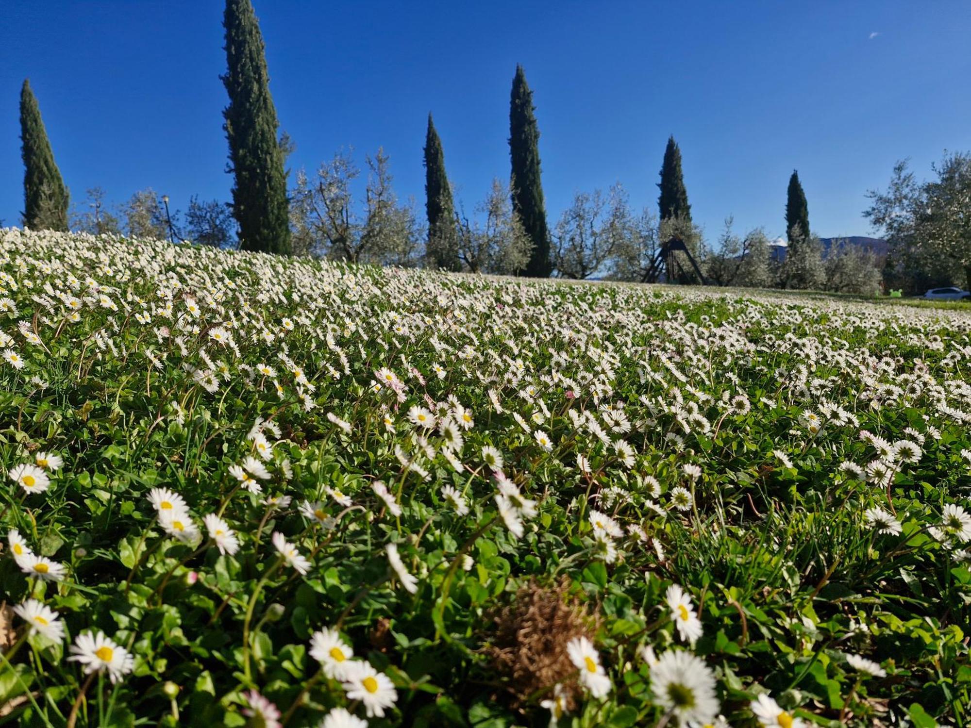 Agriturismo Val Della Pieve Anghiari Zewnętrze zdjęcie