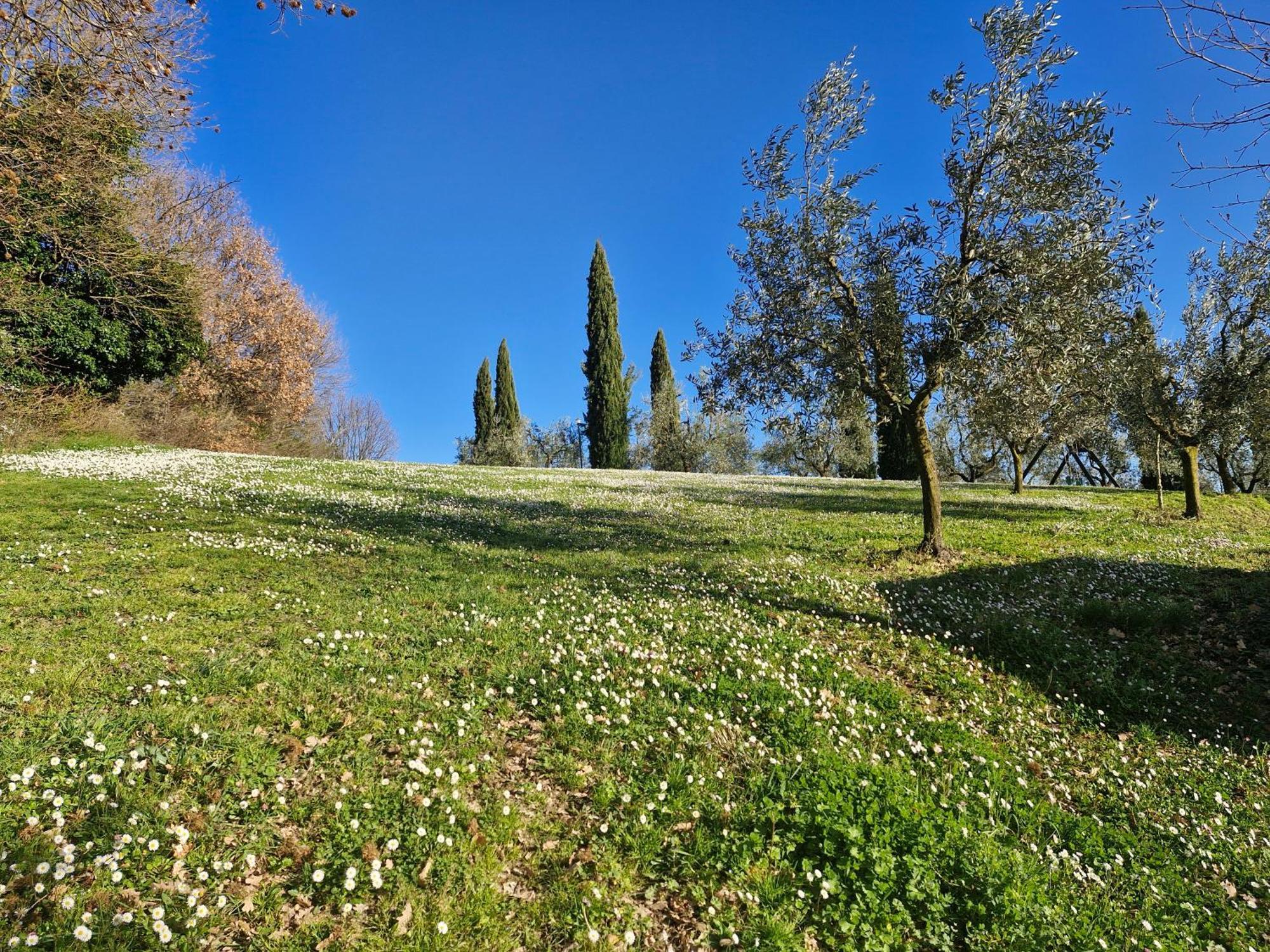 Agriturismo Val Della Pieve Anghiari Zewnętrze zdjęcie
