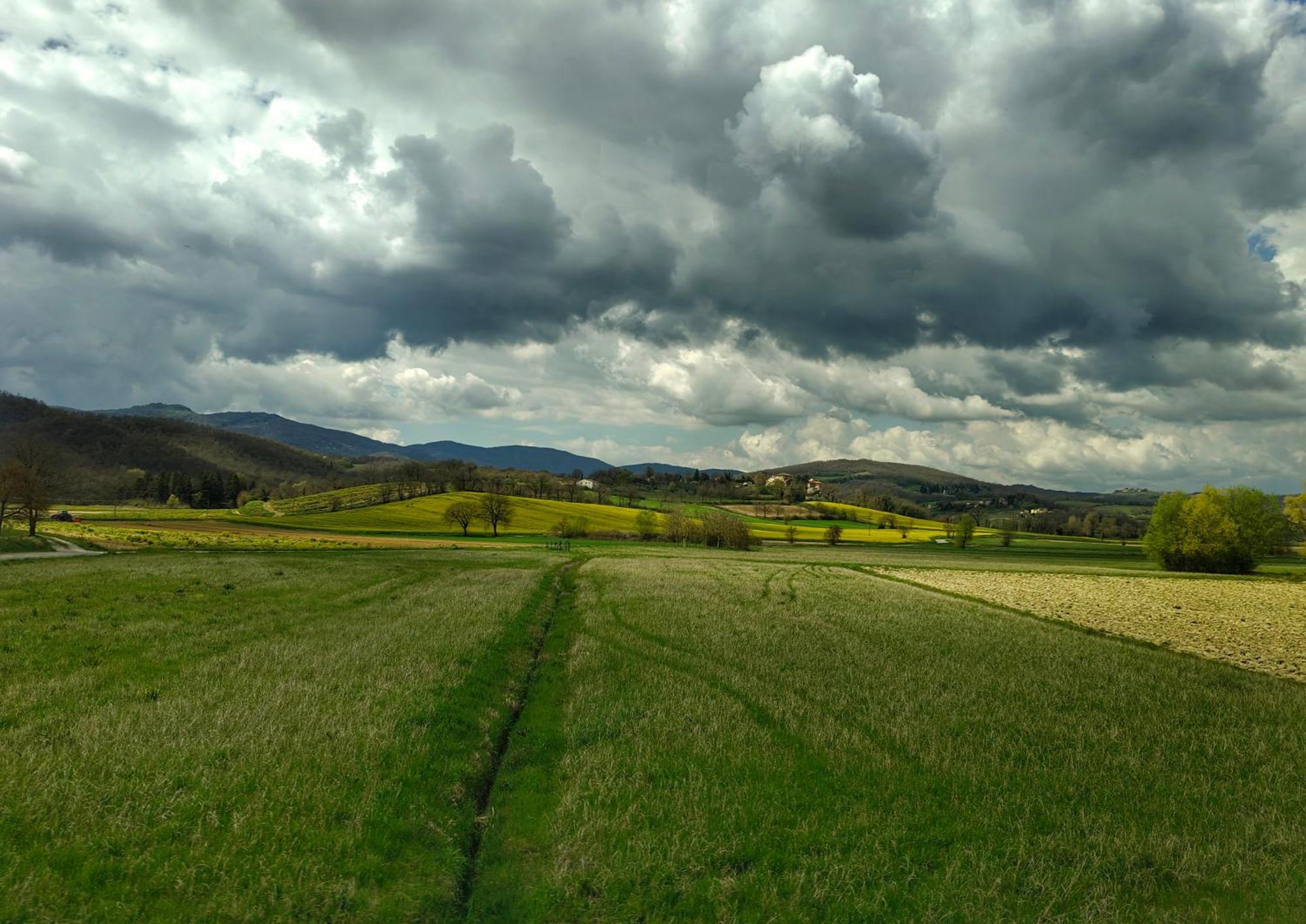 Agriturismo Val Della Pieve Anghiari Zewnętrze zdjęcie